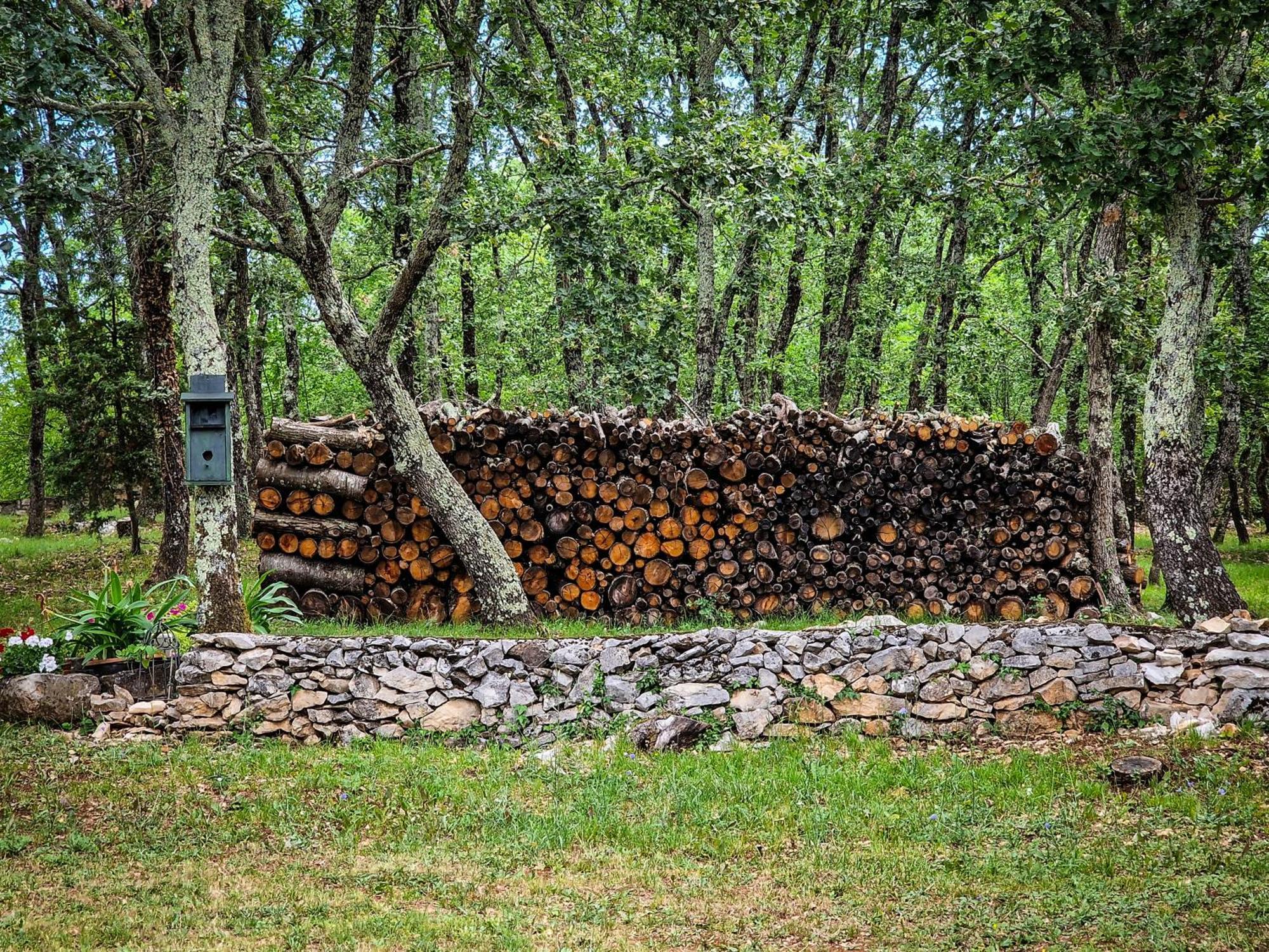 OprtaljStancija Ruseti住宿加早餐旅馆 外观 照片